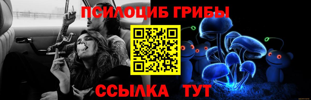 Псилоцибиновые грибы Cubensis Канаш
